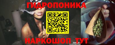 мяу мяу мука Камышлов