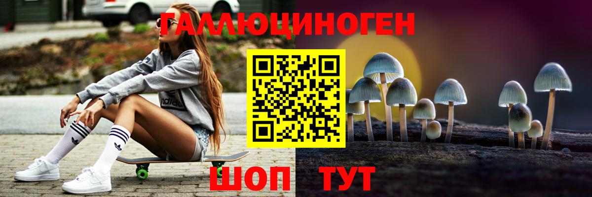 Кузнецк  Псилоцибиновые грибы прущие грибы  Галлюциногенные грибы Psilocybe  Вход с VPN 